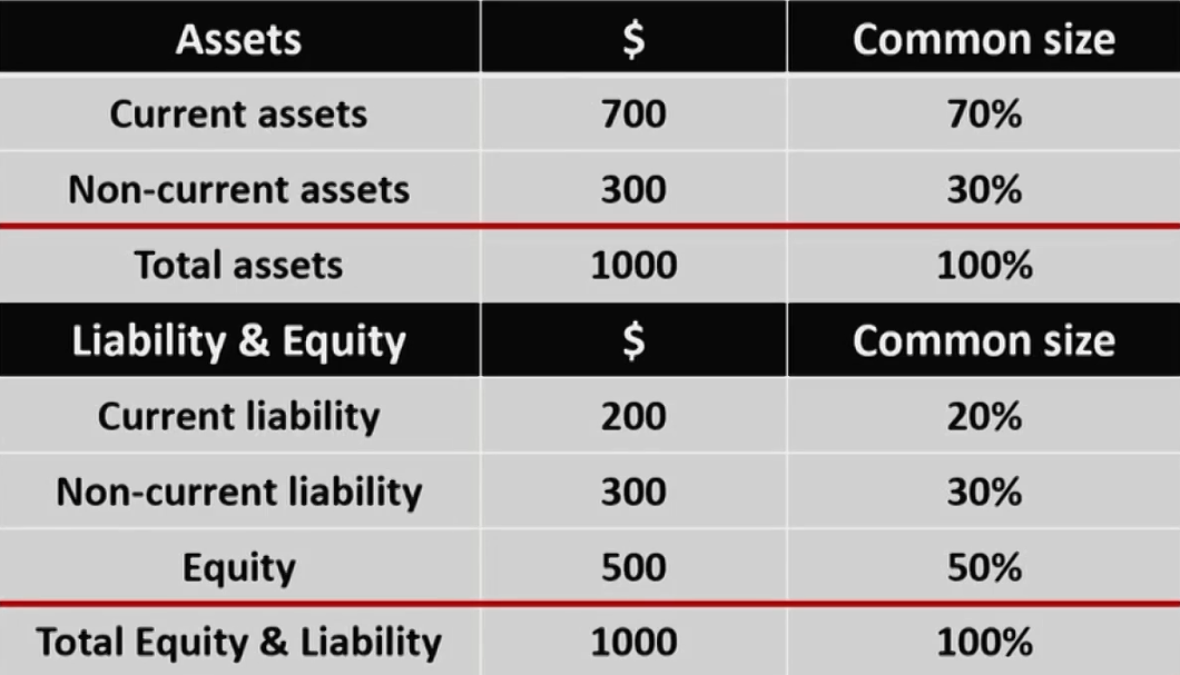 CFAⅠFinancial Statement Analysis