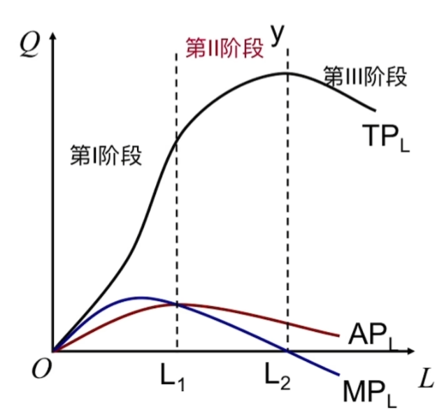 微观经济学